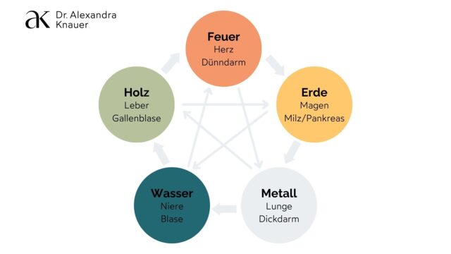 Dr. Alexandra Knauer, Grafik TCM Elemente (Blogartikel Immunabwehr) Dr. Alexandra Knauer, Grafik TCM Elemente (Blogartikel Immunabwehr)